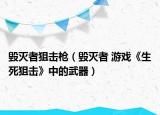 毁灭者狙击枪（毁灭者 游戏《生死狙击》中的武器）
