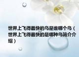 世界上飞得最快的鸟是谁哪个鸟（世界上飞得最快的是哪种鸟简介介绍）