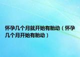 怀孕几个月就开始有胎动（怀孕几个月开始有胎动）