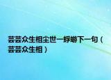 芸芸众生相尘世一蜉蝣下一句（芸芸众生相）