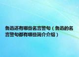 鲁迅还有哪些名言警句（鲁迅的名言警句都有哪些简介介绍）