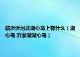 临沂沂河北湖心岛上有什么（湖心岛 沂蒙湖湖心岛）