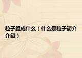 粒子组成什么（什么是粒子简介介绍）