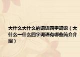 大什么大什么的词语四字词语（大什么一什么四字词语有哪些简介介绍）