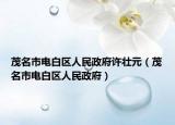 茂名市电白区人民政府许壮元（茂名市电白区人民政府）