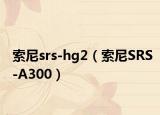 索尼srs-hg2（索尼SRS-A300）
