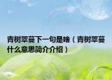 青树翠蔓下一句是啥（青树翠蔓什么意思简介介绍）
