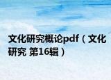 文化研究概论pdf（文化研究 第16辑）