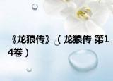 《龙狼传》（龙狼传 第14卷）