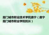 厦门城市职业技术学院唐宁（唐宁 厦门城市职业学院院长）