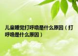 儿童睡觉打呼噜是什么原因（打呼噜是什么原因）