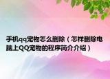 手机qq宠物怎么删除（怎样删除电脑上QQ宠物的程序简介介绍）