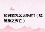 猛犸象怎么灭绝的?（猛犸象之灭亡）