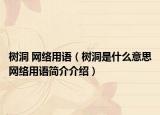 树洞 网络用语（树洞是什么意思网络用语简介介绍）