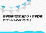 养驴赚钱吗要投资多少（养驴挣钱为什么没人养简介介绍）