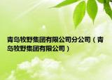 青岛牧野集团有限公司分公司（青岛牧野集团有限公司）
