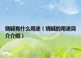 烧碱有什么用途（烧碱的用途简介介绍）
