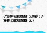 子宫做b超能检查什么内容（子宫做b超能检查出什么）