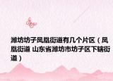 潍坊坊子凤凰街道有几个片区（凤凰街道 山东省潍坊市坊子区下辖街道）