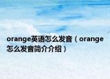 orange英语怎么发音（orange怎么发音简介介绍）