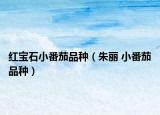 红宝石小番茄品种（朱丽 小番茄品种）