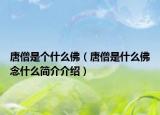 唐僧是个什么佛（唐僧是什么佛念什么简介介绍）