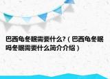 巴西龟冬眠需要什么?（巴西龟冬眠吗冬眠需要什么简介介绍）