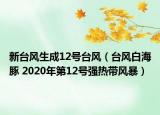新台风生成12号台风（台风白海豚 2020年第12号强热带风暴）
