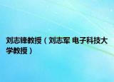 刘志锋教授（刘志军 电子科技大学教授）