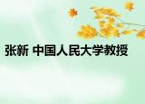 张新 中国人民大学教授