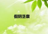 假阴茎囊