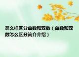 怎么样区分单数和双数（单数和双数怎么区分简介介绍）