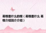 葛根是什么的根（葛根是什么 葛根介绍简介介绍）