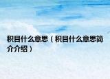 积目什么意思（积目什么意思简介介绍）