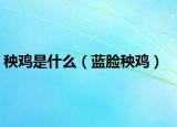 秧鸡是什么（蓝脸秧鸡）