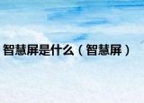 智慧屏是什么（智慧屏）