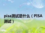 pisa测试是什么（PISA测试）