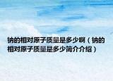 钠的相对原子质量是多少啊（钠的相对原子质量是多少简介介绍）