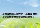 王艳辉合肥工业大学（王军辉 合肥工业大学生物与食品学院教授）