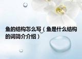 鱼的结构怎么写（鱼是什么结构的词简介介绍）