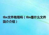 tbs文件有用吗（tbs是什么文件简介介绍）