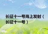 长征十一号海上发射（长征十一号）