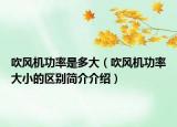 吹风机功率是多大（吹风机功率大小的区别简介介绍）