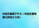 吹的乐器属于什么（吹的乐器有哪几种简介介绍）