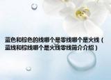 蓝色和棕色的线哪个是零线哪个是火线（蓝线和棕线哪个是火线零线简介介绍）