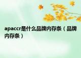 apaccr是什么品牌内存条（品牌内存条）