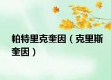 帕特里克奎因（克里斯奎因）