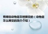 有哪些动物是怎样睡觉的（动物是怎么睡觉的简介介绍）