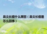 鼻尖长痘什么原因（鼻尖长痘是怎么回事）