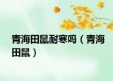 青海田鼠耐寒吗（青海田鼠）